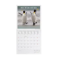 Calendario da Parete 2025 - 18 x 18 cm