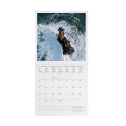 Calendario da Parete 2025 - 18 x 18 cm