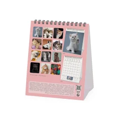 Calendario da Tavolo 2025 - 12 x 14,5 cm