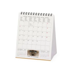 Calendario da Tavolo 2025 - 12 x 14,5 cm