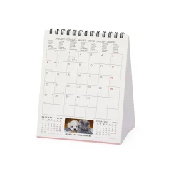 Calendario da Tavolo 2025 - 12 x 14,5 cm
