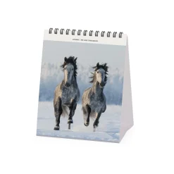 Calendario da Tavolo 2025 - 12 x 14,5 cm