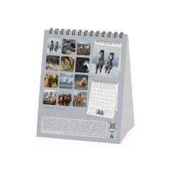 Calendario da Tavolo 2025 - 12 x 14,5 cm