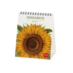 Calendario da Tavolo 2025 - 12 x 14,5 cm