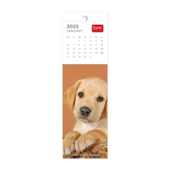Calendario Segnalibro 2025 - 5,5 x 18 cm
