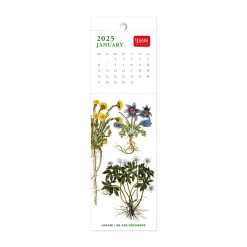 Calendario Segnalibro 2025 - 5,5 x 18 cm
