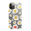 Cover Trasparente - iPhone 12 Pro Max