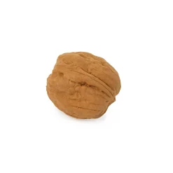 Gomma Walnut Eraser