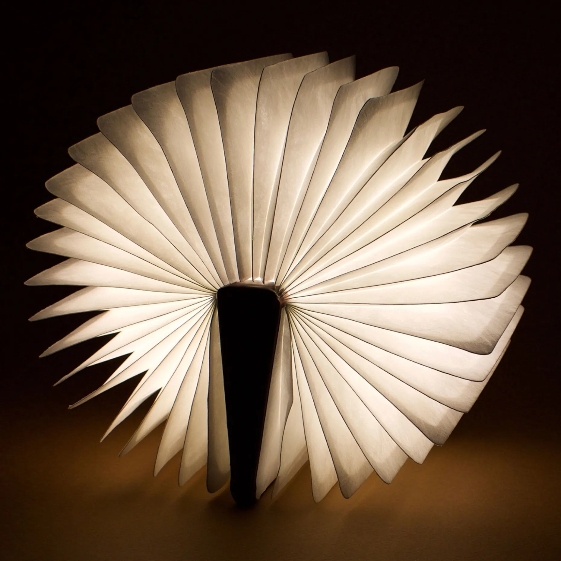 Libro Luminoso - Light Book