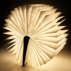 Libro Luminoso - Light Book