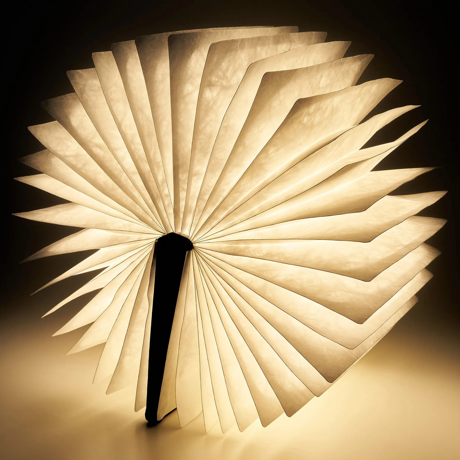 Libro Luminoso - Light Book