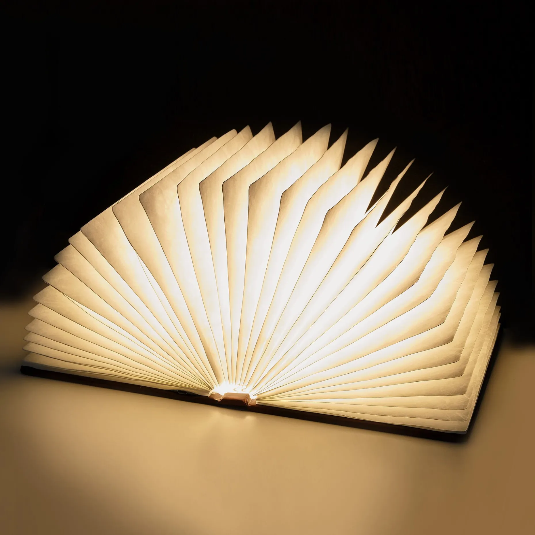Libro Luminoso - Light Book
