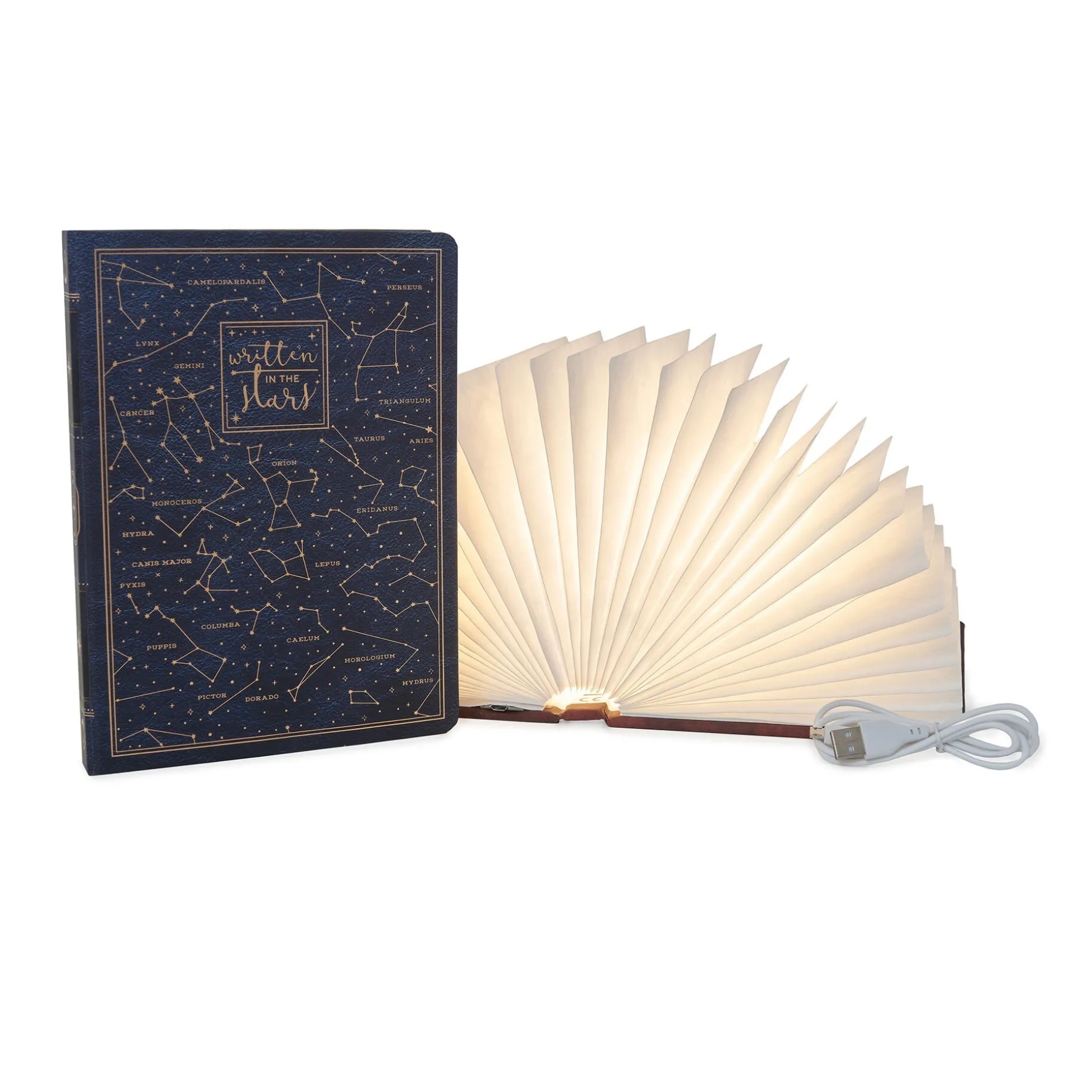 Libro Luminoso - Light Book