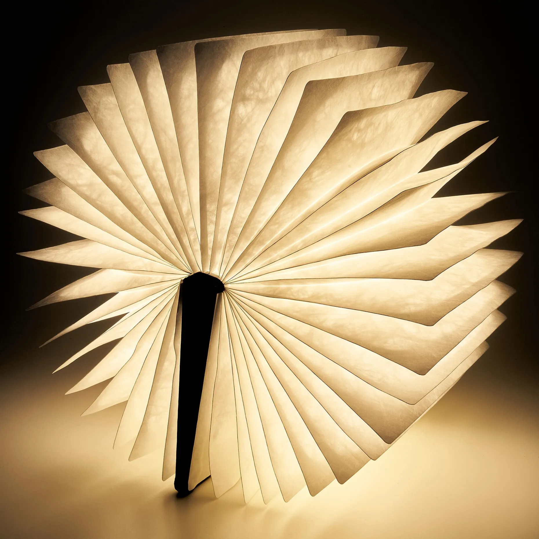 Libro Luminoso - Light Book