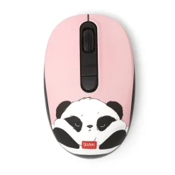 Mouse Wireless con Ricevitore USB