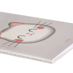 Quaderno a Righe - Foglio B5