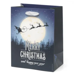 Sacchetto regalo natalizio - Medium