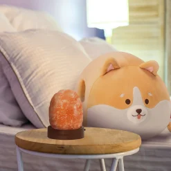 Set Cuscino Corgi e Himalayan Salt Lamp