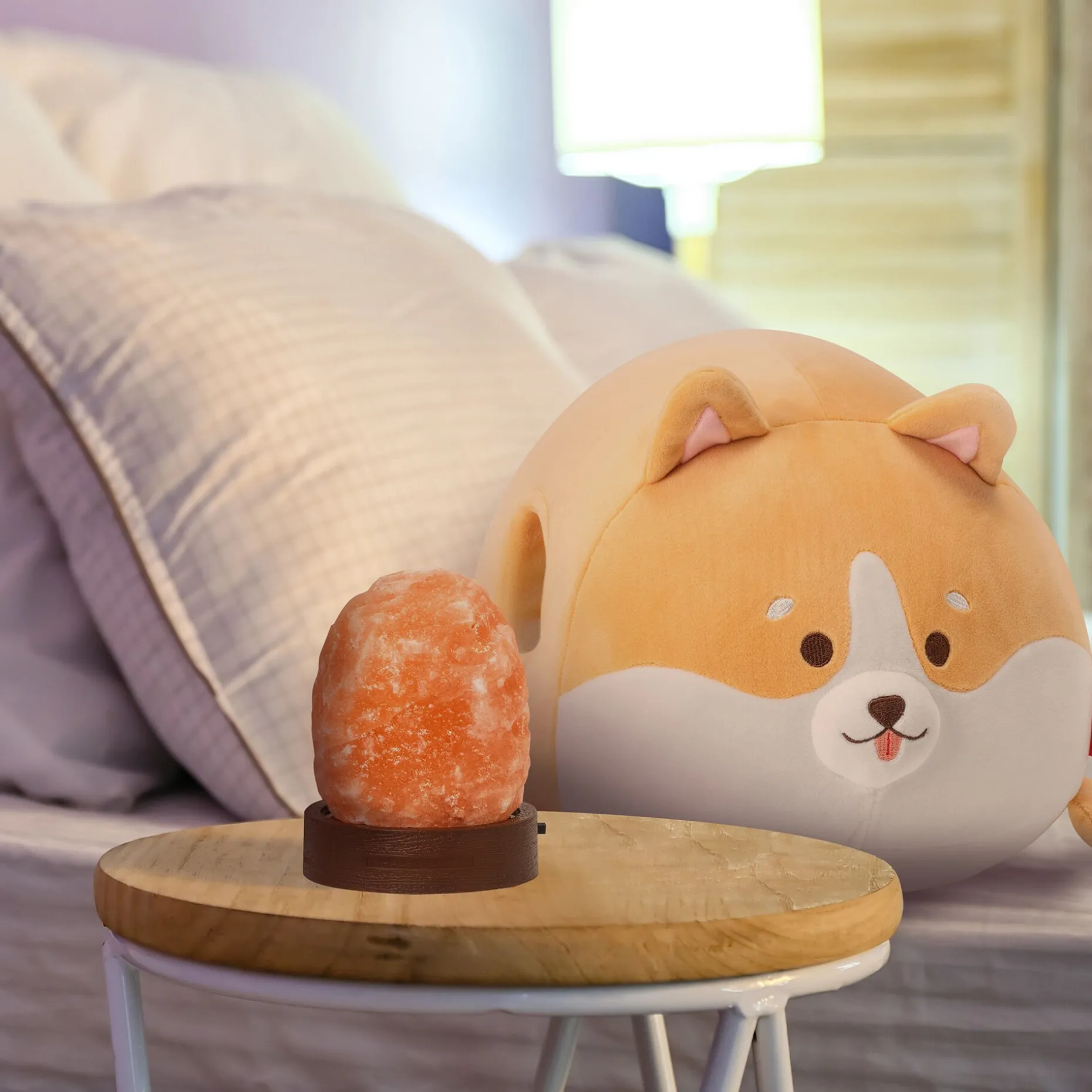 Set Cuscino Corgi e Himalayan Salt Lamp