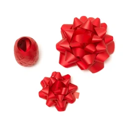 Set di due Fiocchi e un Nastro