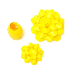 Set di due Fiocchi e un Nastro