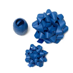 Set di due Fiocchi e un Nastro