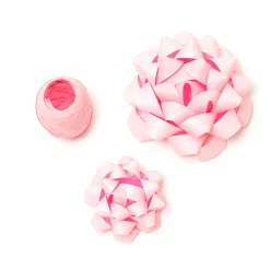 Set di due Fiocchi e un Nastro