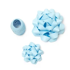 Set di due Fiocchi e un Nastro
